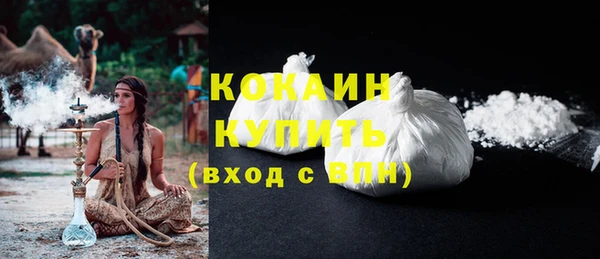 дживик Абинск