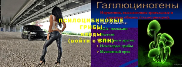 молекула духа Заволжье