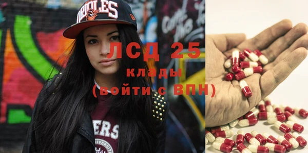 дживик Абинск