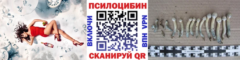 Псилоцибиновые грибы MAGIC MUSHROOMS  где найти   Южа 
